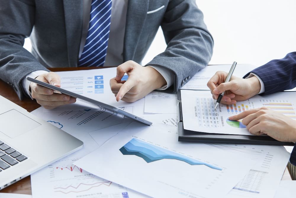 Accounts Auditing
